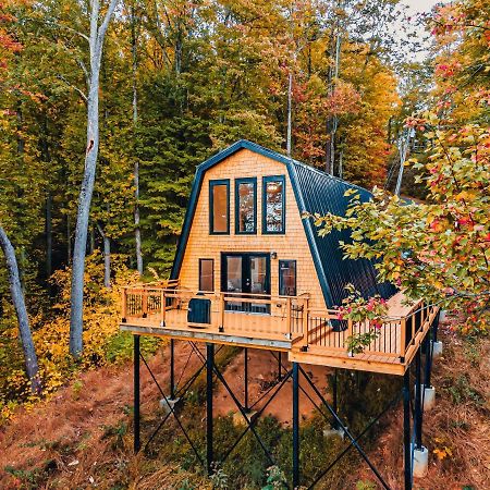 Secluded Mtn View New! 10 Mins To Gatlinburg Or Park Villa Buitenkant foto