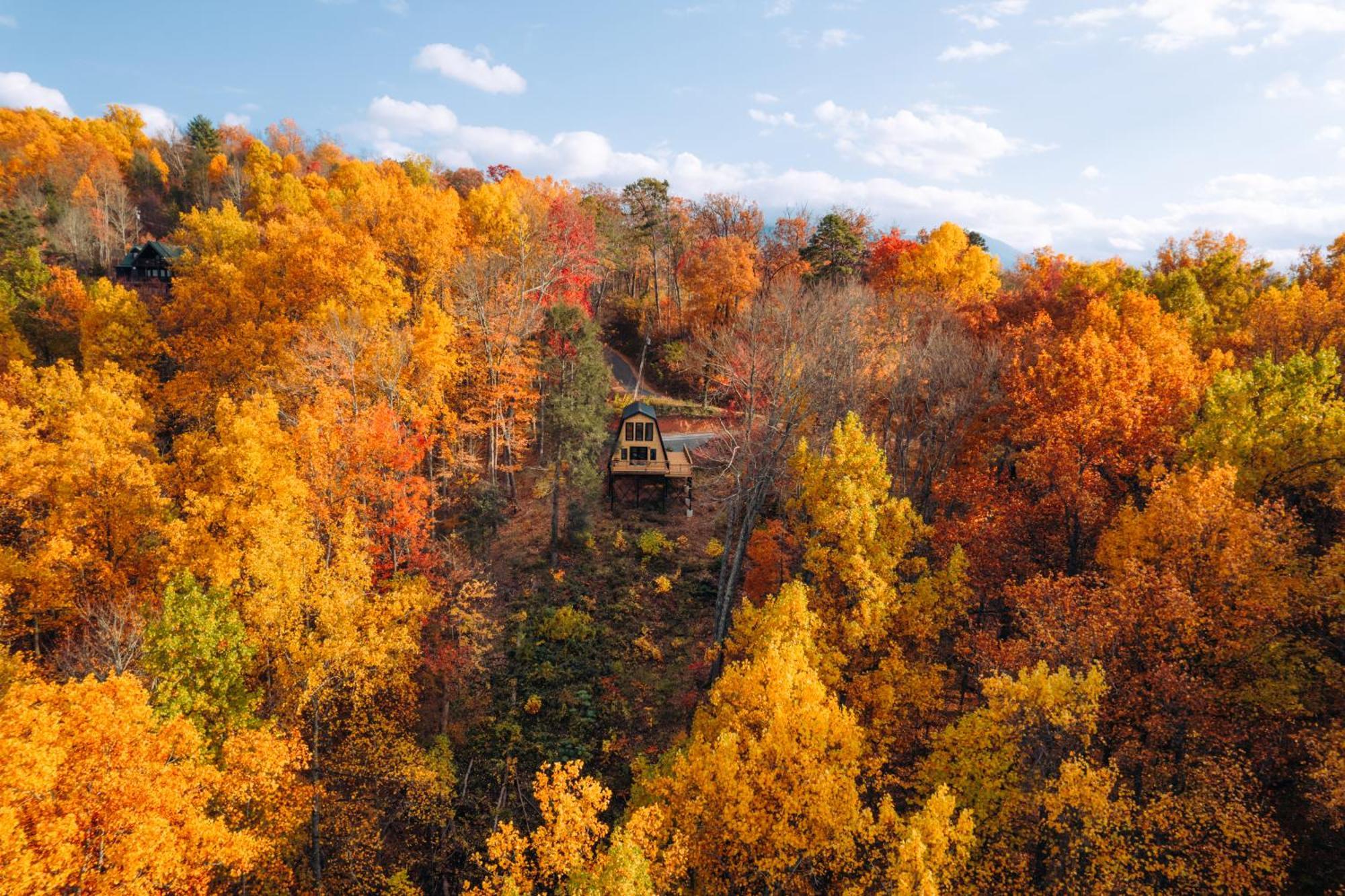 Secluded Mtn View New! 10 Mins To Gatlinburg Or Park Villa Buitenkant foto