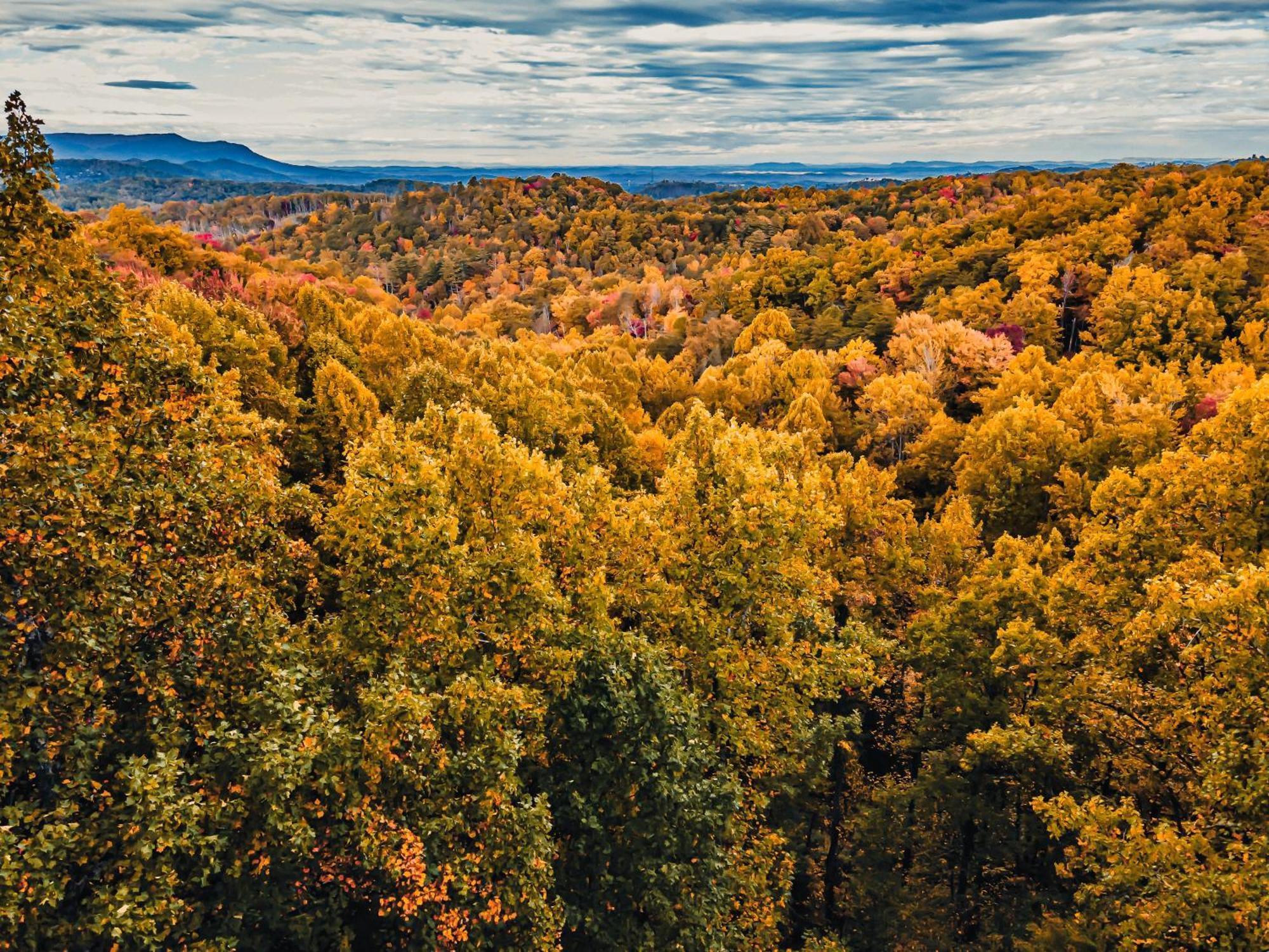 Secluded Mtn View New! 10 Mins To Gatlinburg Or Park Villa Buitenkant foto