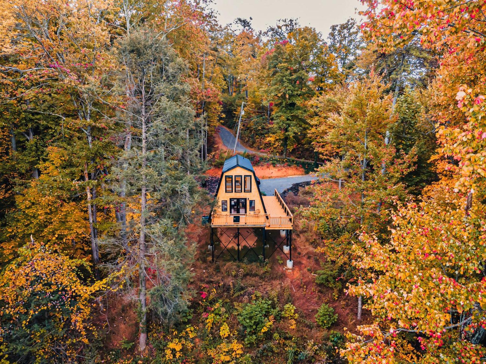 Secluded Mtn View New! 10 Mins To Gatlinburg Or Park Villa Buitenkant foto